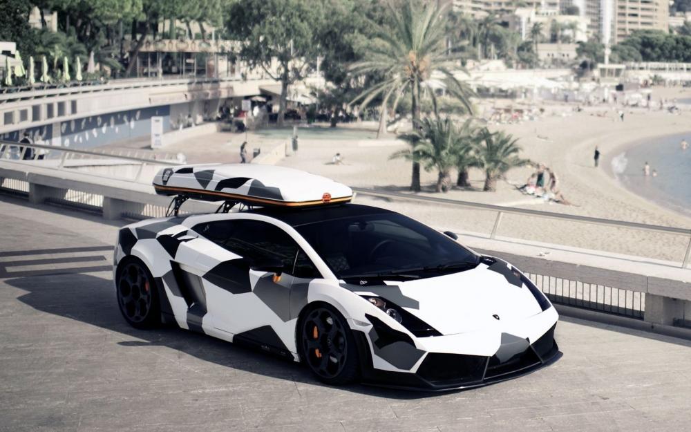 snowcamo-lambo1.jpg