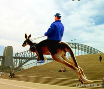 australia-stereotypes-riding-kangaroos-F