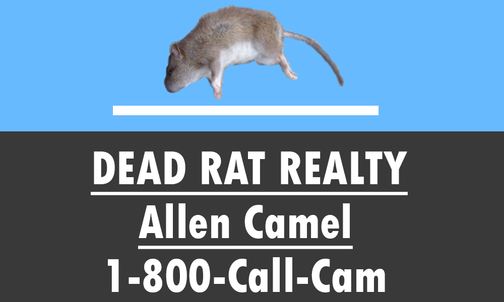 Deadrat.png.f95e5f7f885cd758c90bcfdc7acd