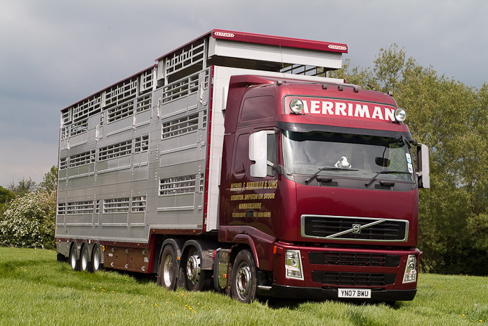 merriman-transport-livestock-haulage-4.j