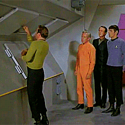 tribbles.gif.084bc5d11ce3af7d54a695878b1
