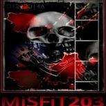 MiSFiT203