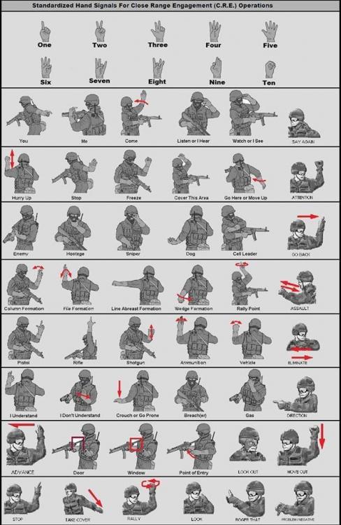Hand-Signals.jpg
