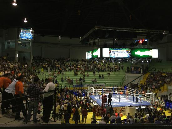 lumpinee-boxing-stadium.jpg.e8906ad8abd4